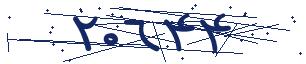 کد امنیتی